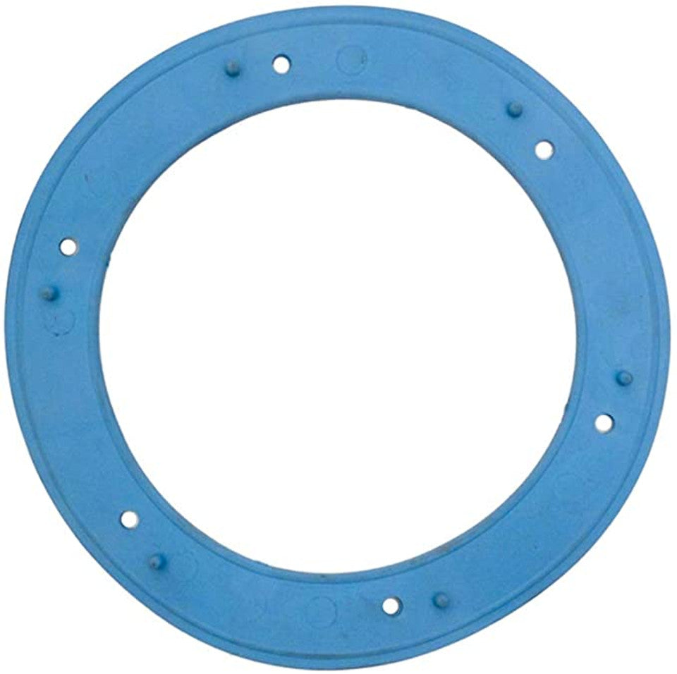 PENTAIR GASKET NICHE - 05166-0001 - Piscines Geyser
