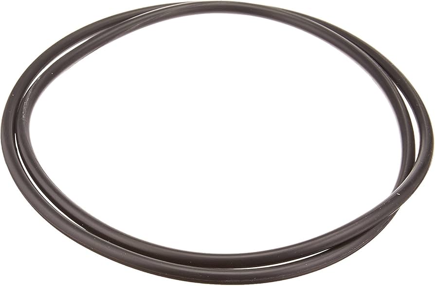 XStream FILTRE À CARTOUCHE Oring DE CORP - HAYWARD