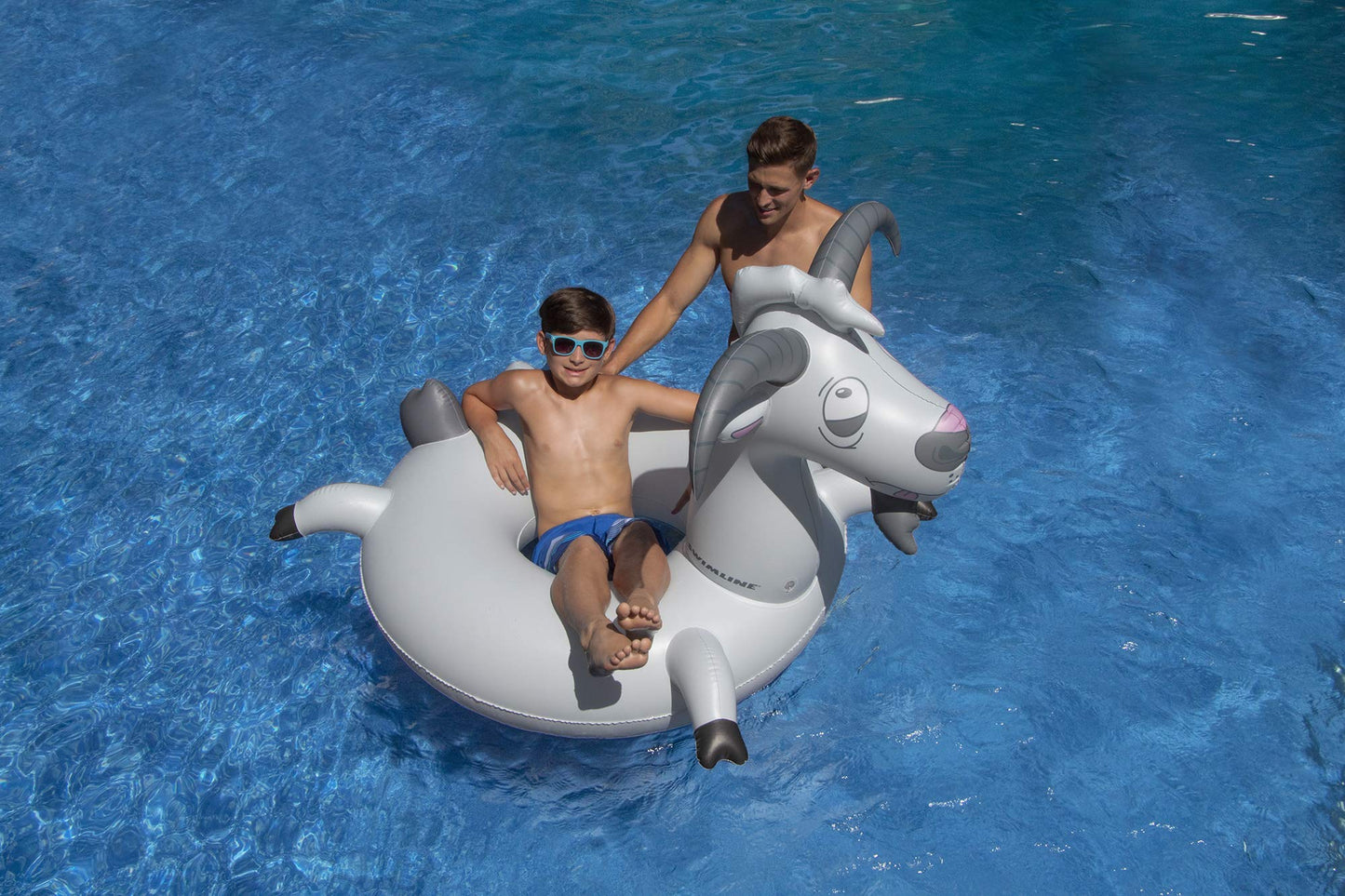 swimline goat ring s-90264