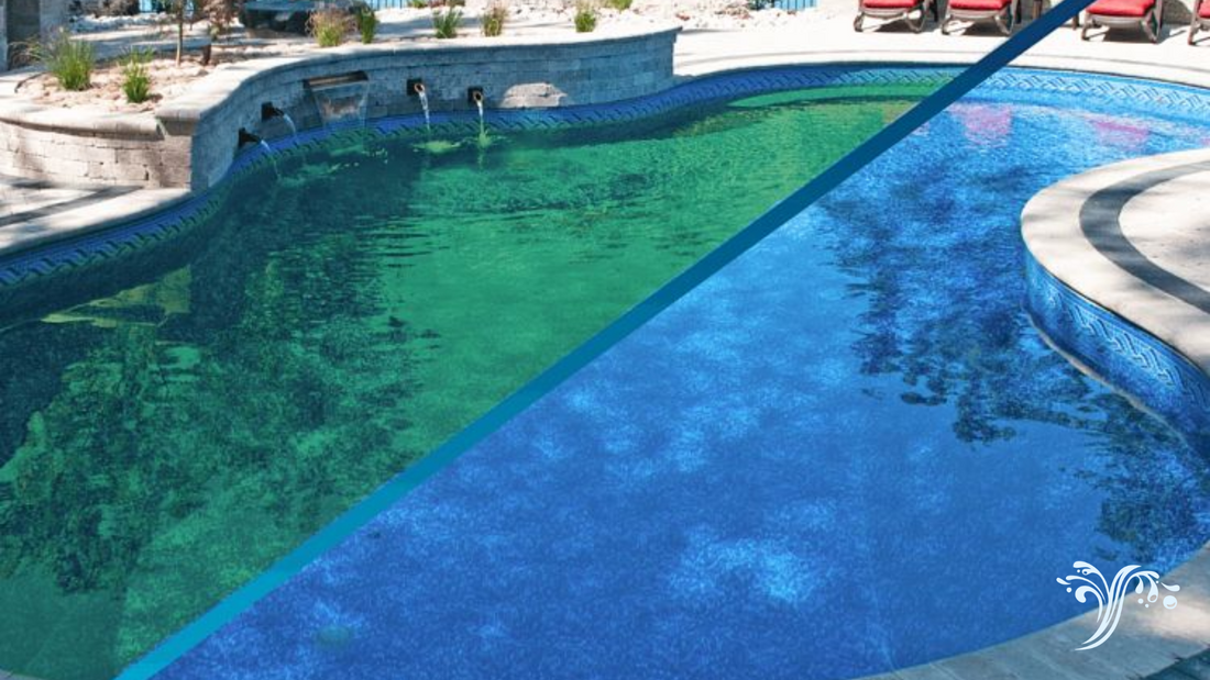  l'eau de votre piscine devient verte 