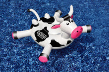 swimline lol series cow